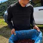 Honduras El Jardín Farm Pacas Anaerobic Natural SHG（ホンジュラス エル ハルディン農園 パカス アナエロビック ナチュラル SHG）100g 【受注焙煎・自家焙煎コーヒー豆】【ベリーの酸味に程よい発酵感】