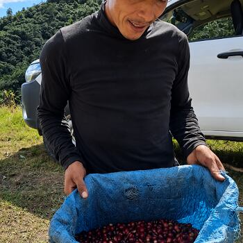 Honduras El Jardín Farm Pacas Anaerobic Natural SHG（ホンジュラス エル ハルディン農園 パカス アナエロビック ナチュラル SHG）100g 【受注焙煎・自家焙煎コーヒー豆】【ベリーの酸味に程よい発酵感】