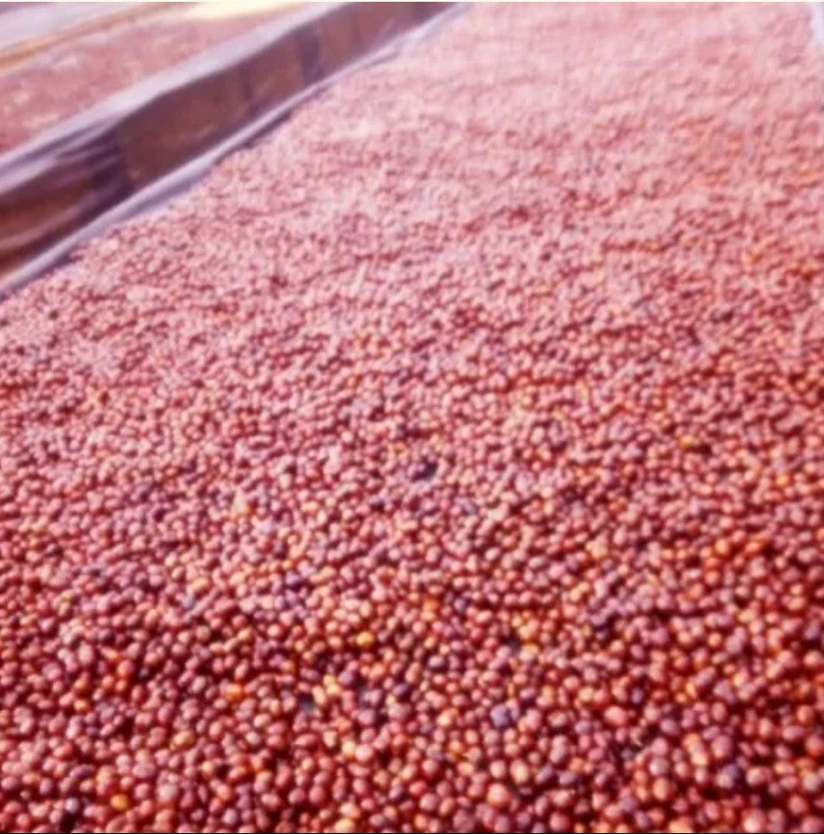 Ethiopia Kaffa Zinabu Farm Geisha G3 Natural（エチオピア カッファ ジナブ農園 ゲイシャG3 ナチュラル）100g【受注焙煎・自家焙煎コーヒー豆】【フルーティーな香りと酸味】