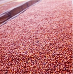 Ethiopia Kaffa Zinabu Farm Geisha G3 Natural（エチオピア カッファ ジナブ農園 ゲイシャG3 ナチュラル）100g【受注焙煎・自家焙煎コーヒー豆】【フルーティーな香りと酸味】