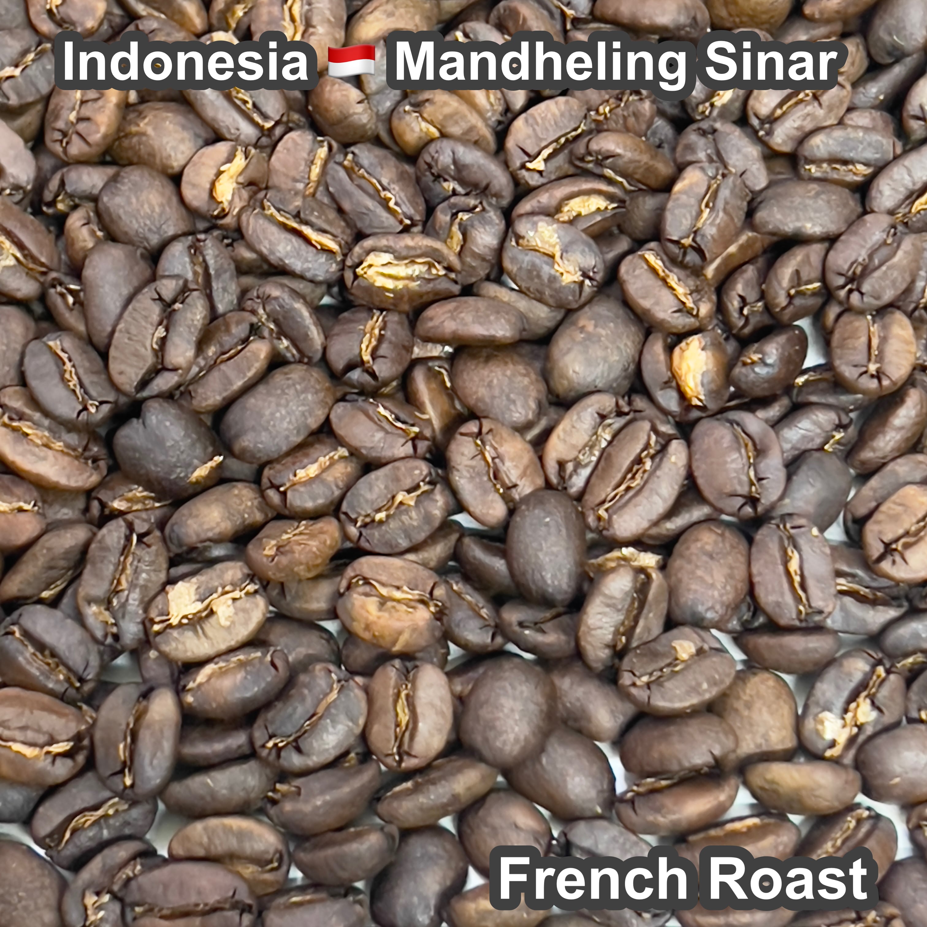 Indonesia Mandheling Sinar（インドネシア マンデリン シナール)100g【受注焙煎・自家焙煎コーヒー豆】【酸味を抑えた力強いコク】