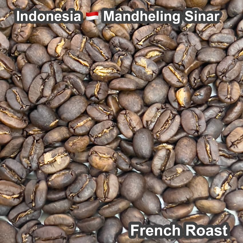 Indonesia Mandheling Sinar（インドネシア マンデリン シナール)100g【受注焙煎・自家焙煎コーヒー豆】【酸味を抑えた力強いコク】
