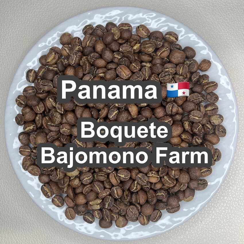 Panama Boquete Bajomono Farm（パナマ ボケテ バホモノ農園）100g【受注焙煎・自家焙煎コーヒー豆】【甘い香りとコク】