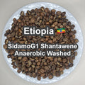 Etiopia Sidamo G1 Shantawene Anaerobic Washed（エチオピア シダモ G1 シャンタウェネ アナエロビック・ウォッシュド）100g 【受注焙煎・自家焙煎コーヒー豆】【完熟シトラスが華やかに弾ける、極上の透明感】