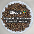 Etiopia Sidamo G1 Shantawene Anaerobic Washed（エチオピア シダモ G1 シャンタウェネ アナエロビック・ウォッシュド）100g 【受注焙煎・自家焙煎コーヒー豆】【完熟シトラスが華やかに弾ける、極上の透明感】