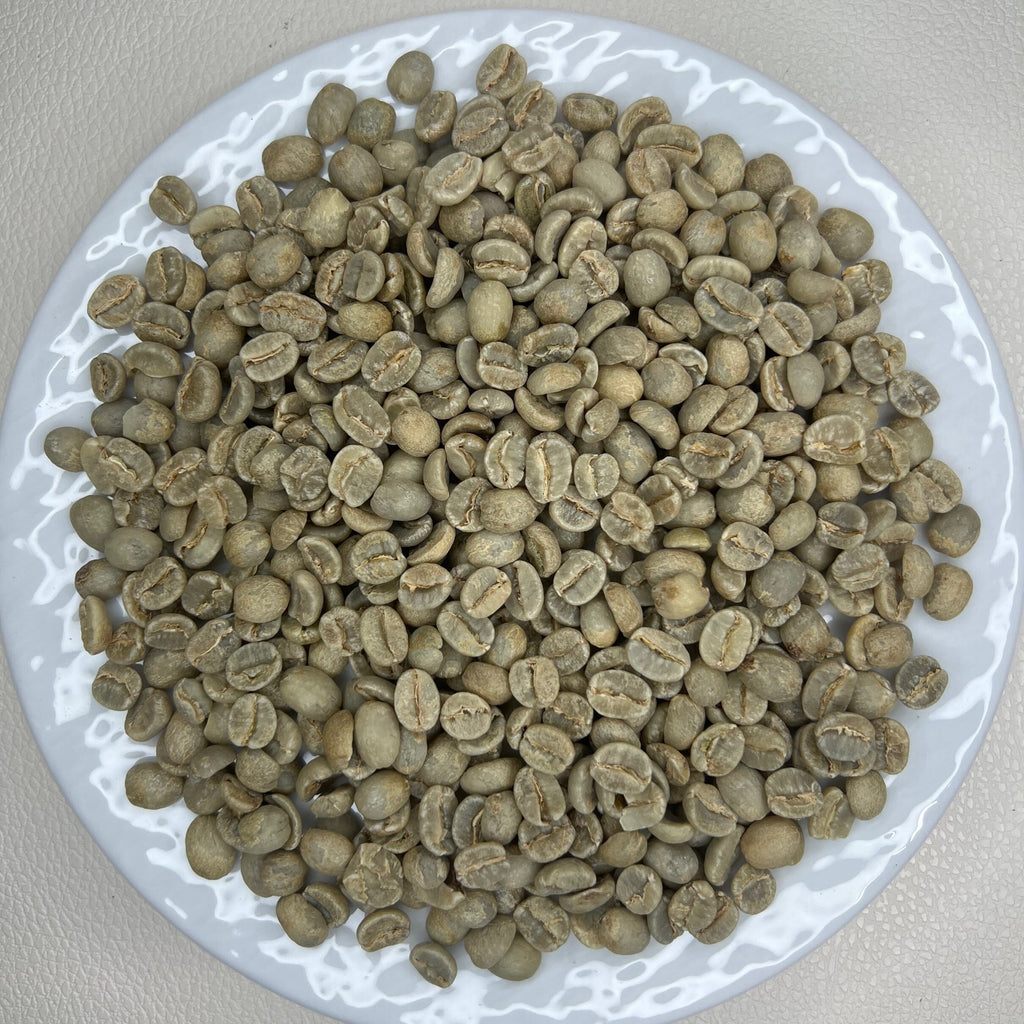 Tanzania Ngorongoro AA ++（タンザニア ンゴロンゴロ AA ++）100g【受注焙煎・自家焙煎コーヒー豆】【豊かなコクと爽やかな酸味】