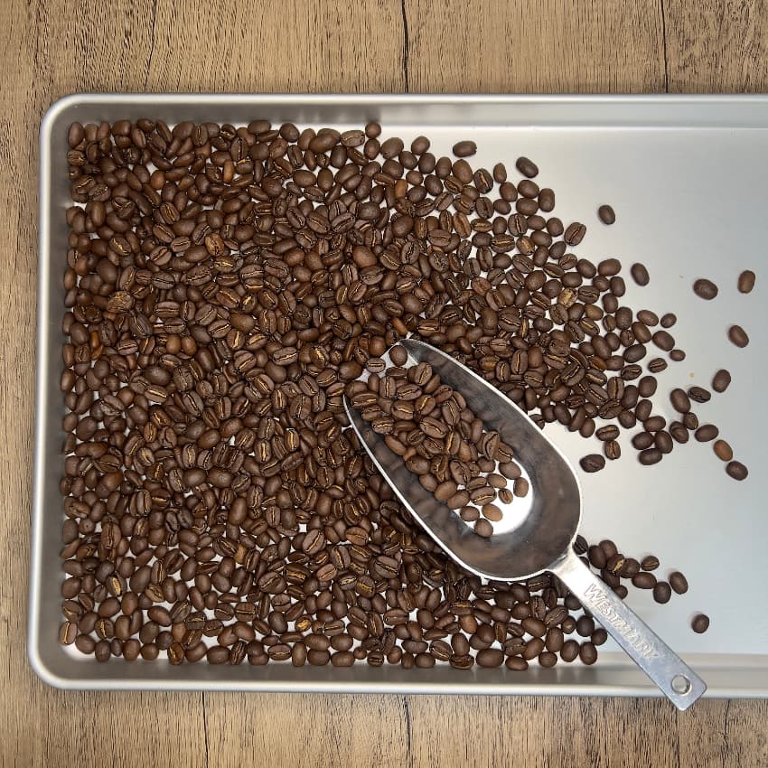 Classic Mandheling Blend（クラシック マンデリン ブレンド）100g【受注焙煎・自家焙煎コーヒー豆】【深煎りブレンド】