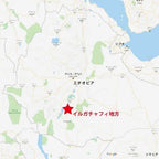 Ethiopia Yirgacheffe G1 Kochare Washed（エチオピア イルガチャフィ G1 コチャレ ウォッシュド）100g 【受注焙煎・自家焙煎コーヒー豆】【ジャスミンと果実の華やかな旋律】