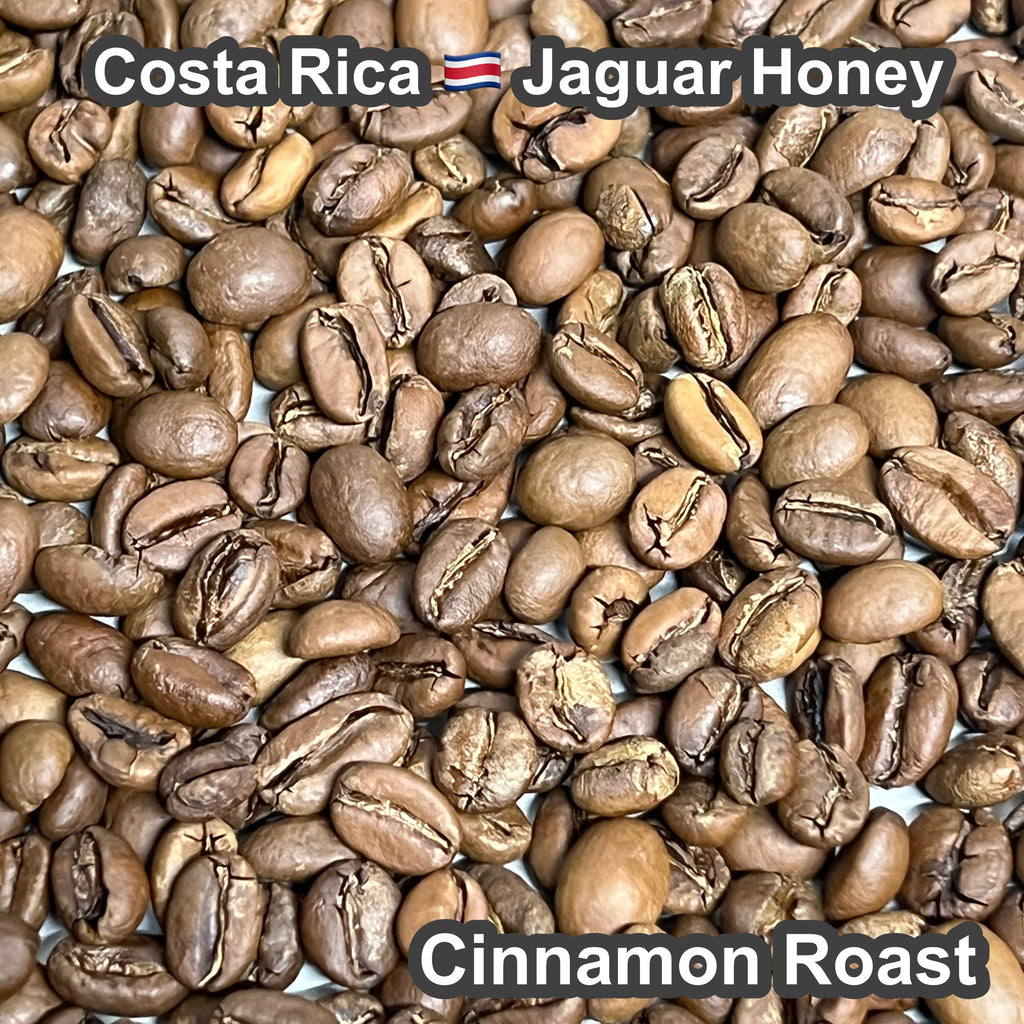 Costa Rica Jaguar Honey（コスタリカ ジャガー ハニー）100g【受注焙煎・自家焙煎コーヒー豆】【ベリーのような爽やかな酸味】