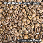 Costa Rica Jaguar Honey（コスタリカ ジャガー ハニー）100g【受注焙煎・自家焙煎コーヒー豆】【ベリーのような爽やかな酸味】