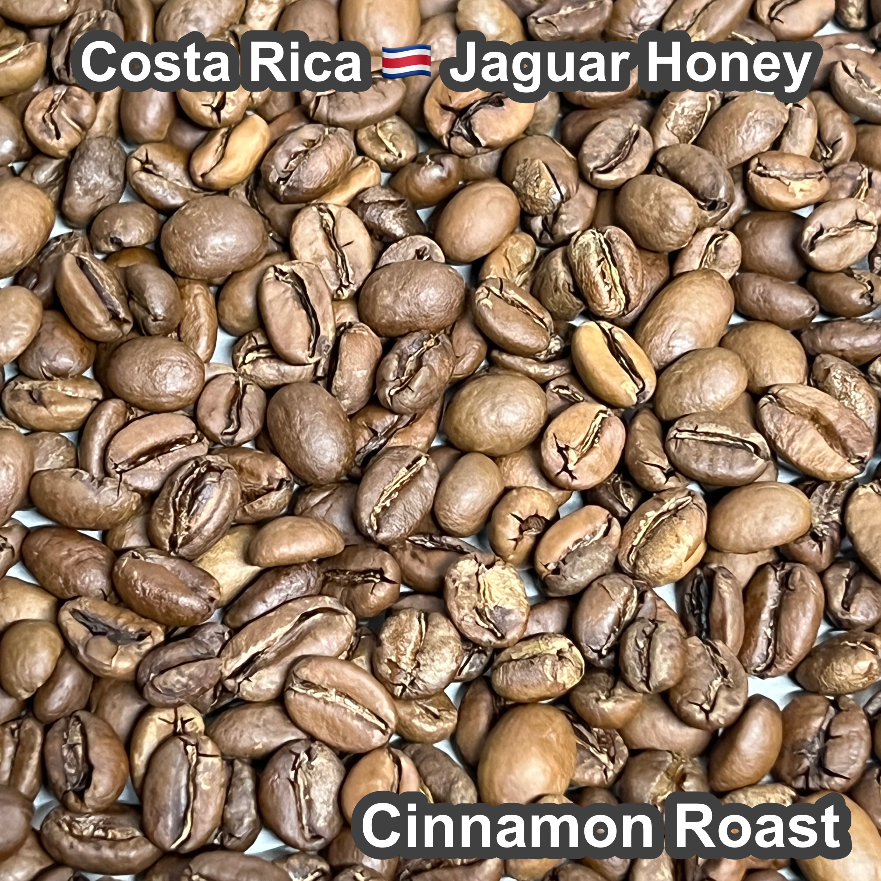 Costa Rica Jaguar Honey（コスタリカ ジャガー ハニー）100g【受注焙煎・自家焙煎コーヒー豆】【ベリーのような爽やかな酸味】