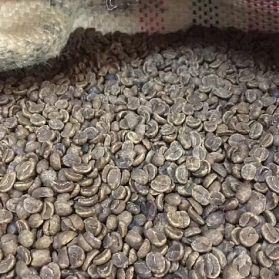 Colombia San Agustin Cafeinless（コロンビア サン アグスティン カフェインレス・デカフェ）100g【受注焙煎・自家焙煎コーヒー豆】