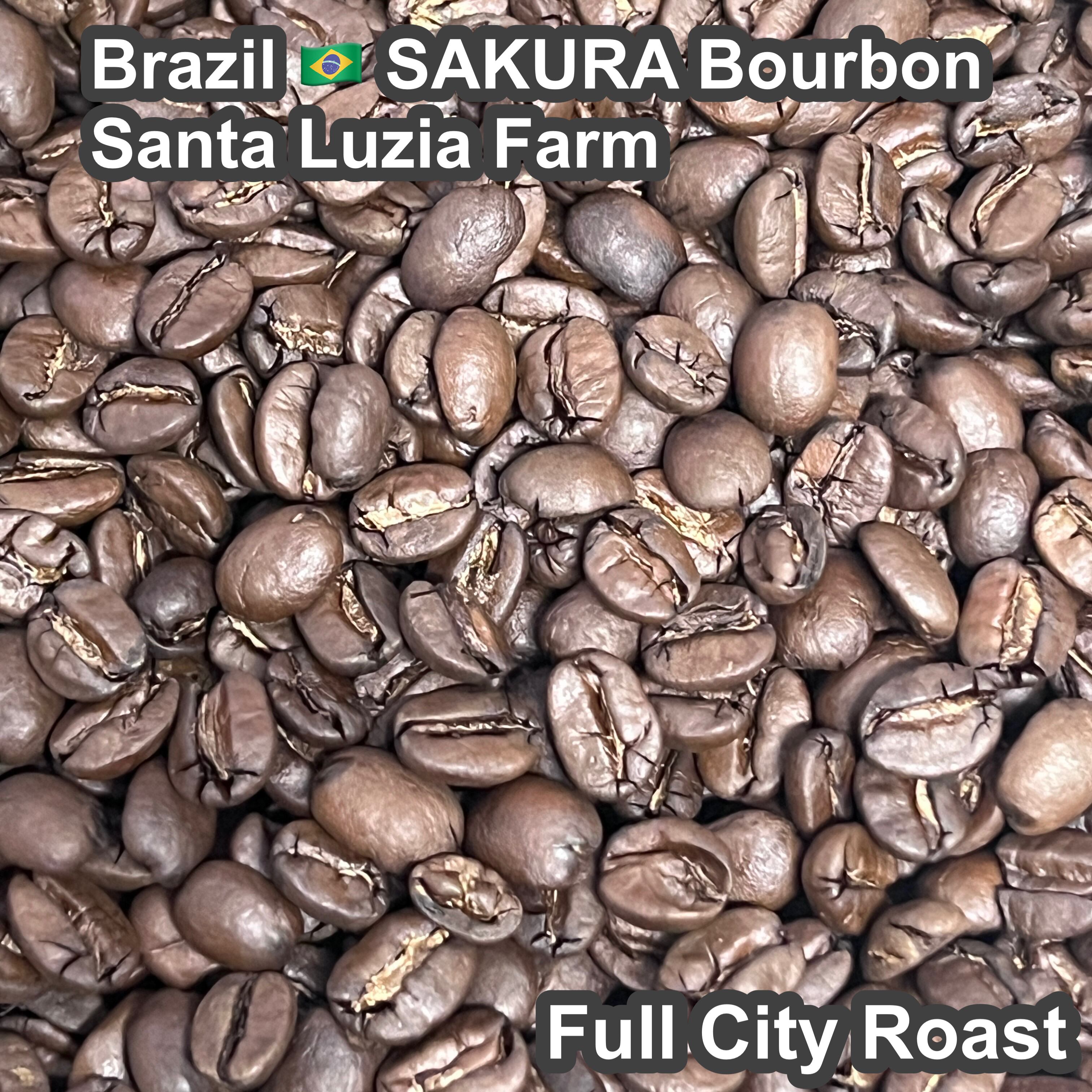 Brazil SAKURA Bourbon Santa Luzia Farm(2026年）（ブラジル さくらブルボン サンタルジア農園）100g【受注焙煎・自家焙煎コーヒー豆】【味や香りのバランスが良い】