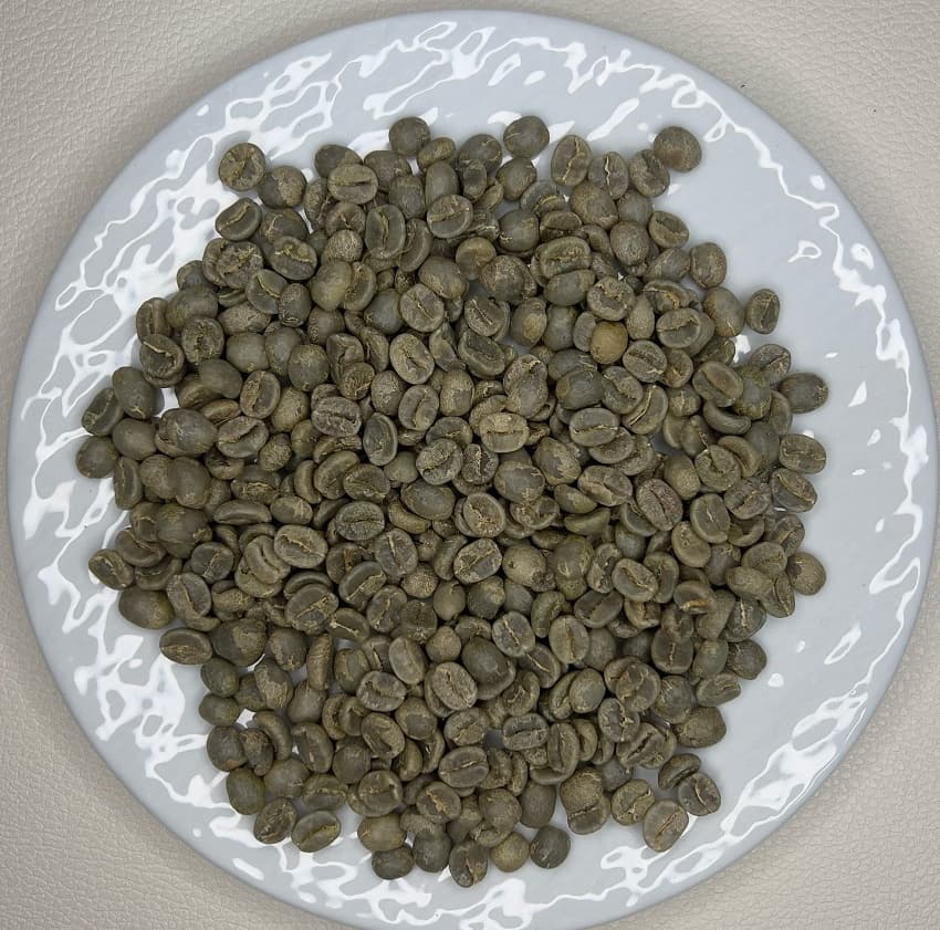 Panama Boquete Bajomono Farm（パナマ ボケテ バホモノ農園）100g【受注焙煎・自家焙煎コーヒー豆】【甘い香りとコク】