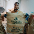 Ethiopia Heleph G1 Natural（エチオピア へレフ G1 ナチュラル）100g【受注焙煎・自家焙煎コーヒー豆】【フルーティーな香りと酸味】