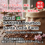 Brazil SAKURA Bourbon Santa Luzia Farm(2026年）（ブラジル さくらブルボン サンタルジア農園）100g【受注焙煎・自家焙煎コーヒー豆】【味や香りのバランスが良い】