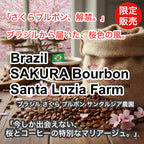 Brazil SAKURA Bourbon Santa Luzia Farm(2026年）（ブラジル さくらブルボン サンタルジア農園）100g【受注焙煎・自家焙煎コーヒー豆】【味や香りのバランスが良い】