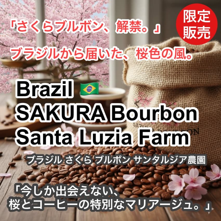 Brazil SAKURA Bourbon Santa Luzia Farm(2026年）（ブラジル さくらブルボン サンタルジア農園）100g【受注焙煎・自家焙煎コーヒー豆】【味や香りのバランスが良い】