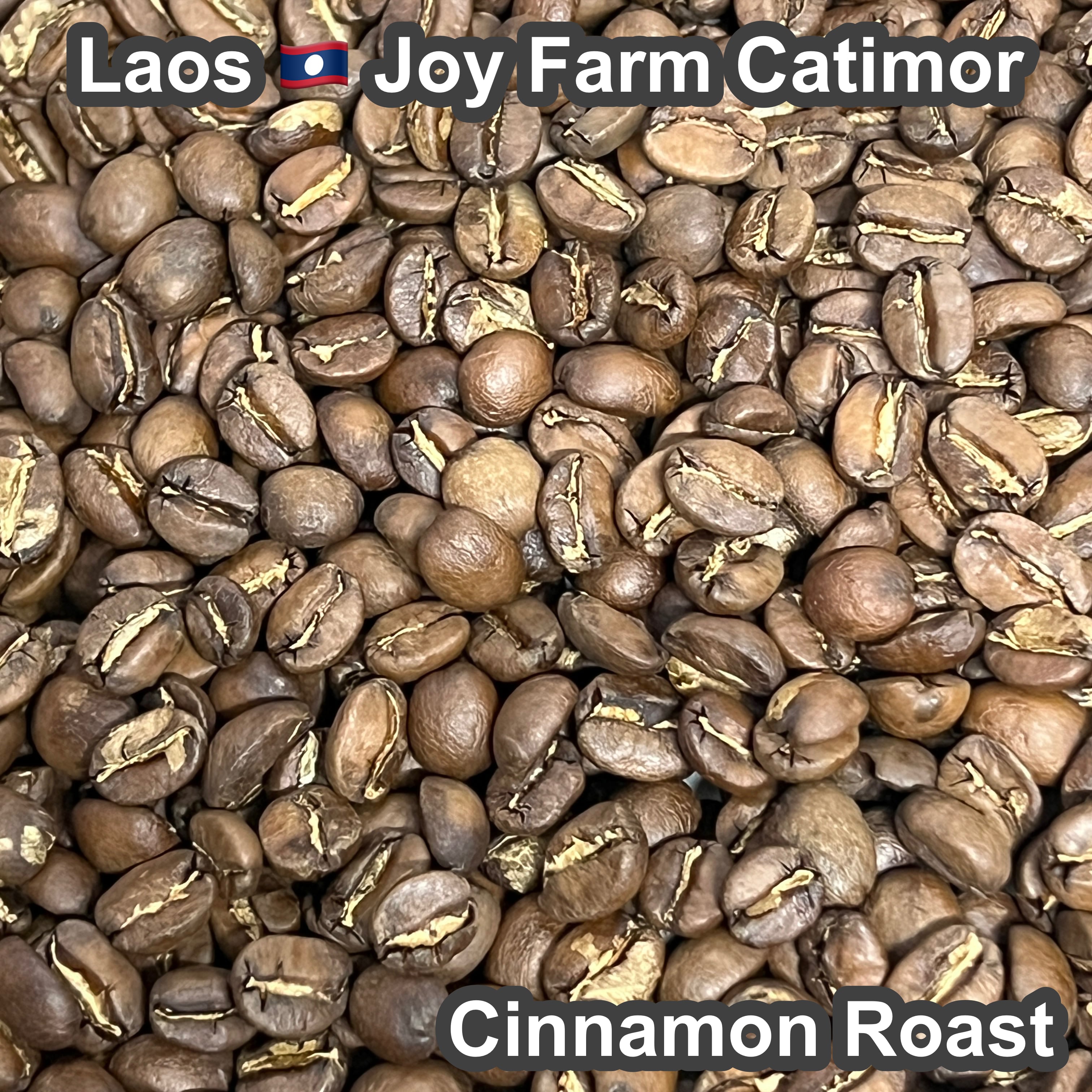 Laos Joy Farm Catimor（ラオス ジョイ農園 カティモール）100g【受注焙煎・自家焙煎コーヒー豆】【甘みと酸味のバランスが良い】
