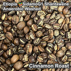 Etiopia Sidamo G1 Shantawene Anaerobic Washed（エチオピア シダモ G1 シャンタウェネ アナエロビック・ウォッシュド）100g 【受注焙煎・自家焙煎コーヒー豆】【完熟シトラスが華やかに弾ける、極上の透明感】