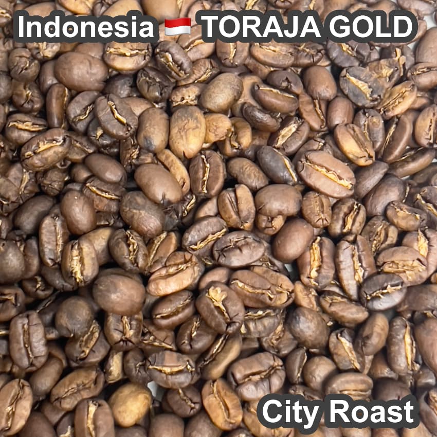 Indonesia TORAJA GOLD（インドネシア トラジャ ゴールド）100g【受注焙煎・自家焙煎コーヒー豆】【酸味を抑えた力強いコク】