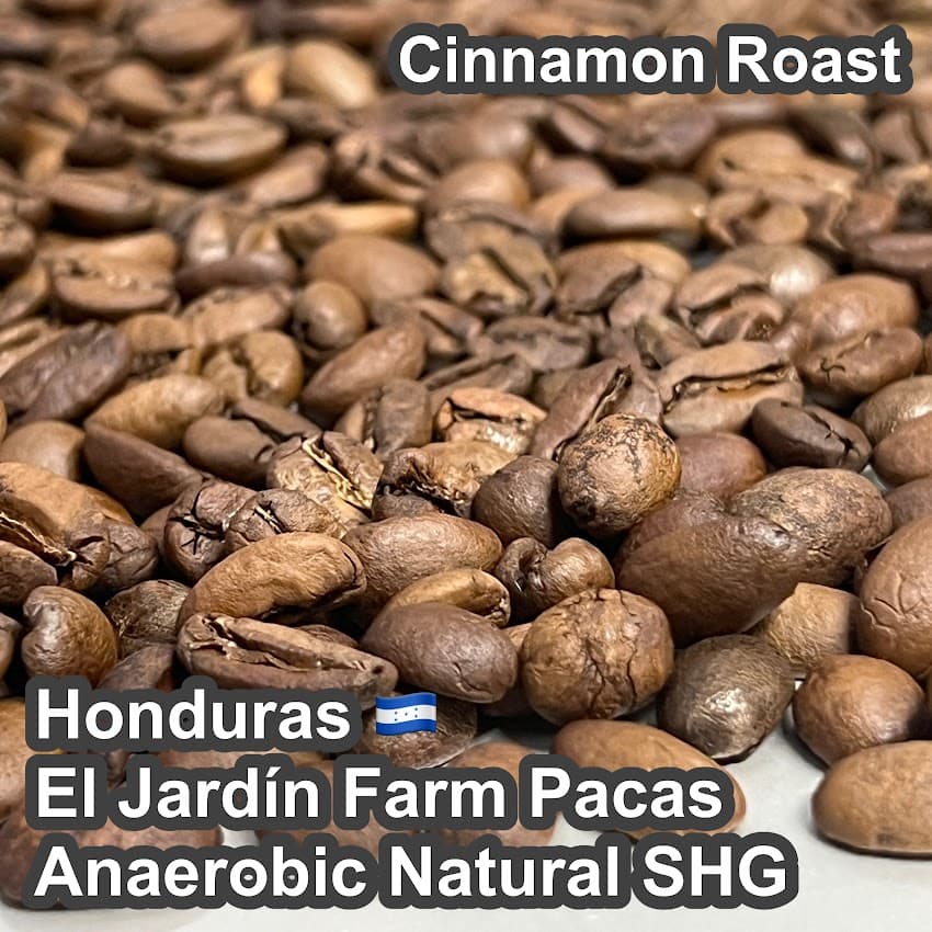 Honduras El Jardín Farm Pacas Anaerobic Natural SHG（ホンジュラス エル ハルディン農園 パカス アナエロビック ナチュラル SHG）100g 【受注焙煎・自家焙煎コーヒー豆】【ベリーの酸味に程よい発酵感】