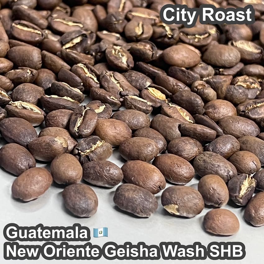 Guatemala New Oriente Geisha Wash SHB（グアテマラ ニューオリエンテ ゲイシャ ウォッシュ SHB）100g【受注焙煎・自家焙煎コーヒー豆】【柑橘のやさしい風味と、リンゴ酸系の酸味】