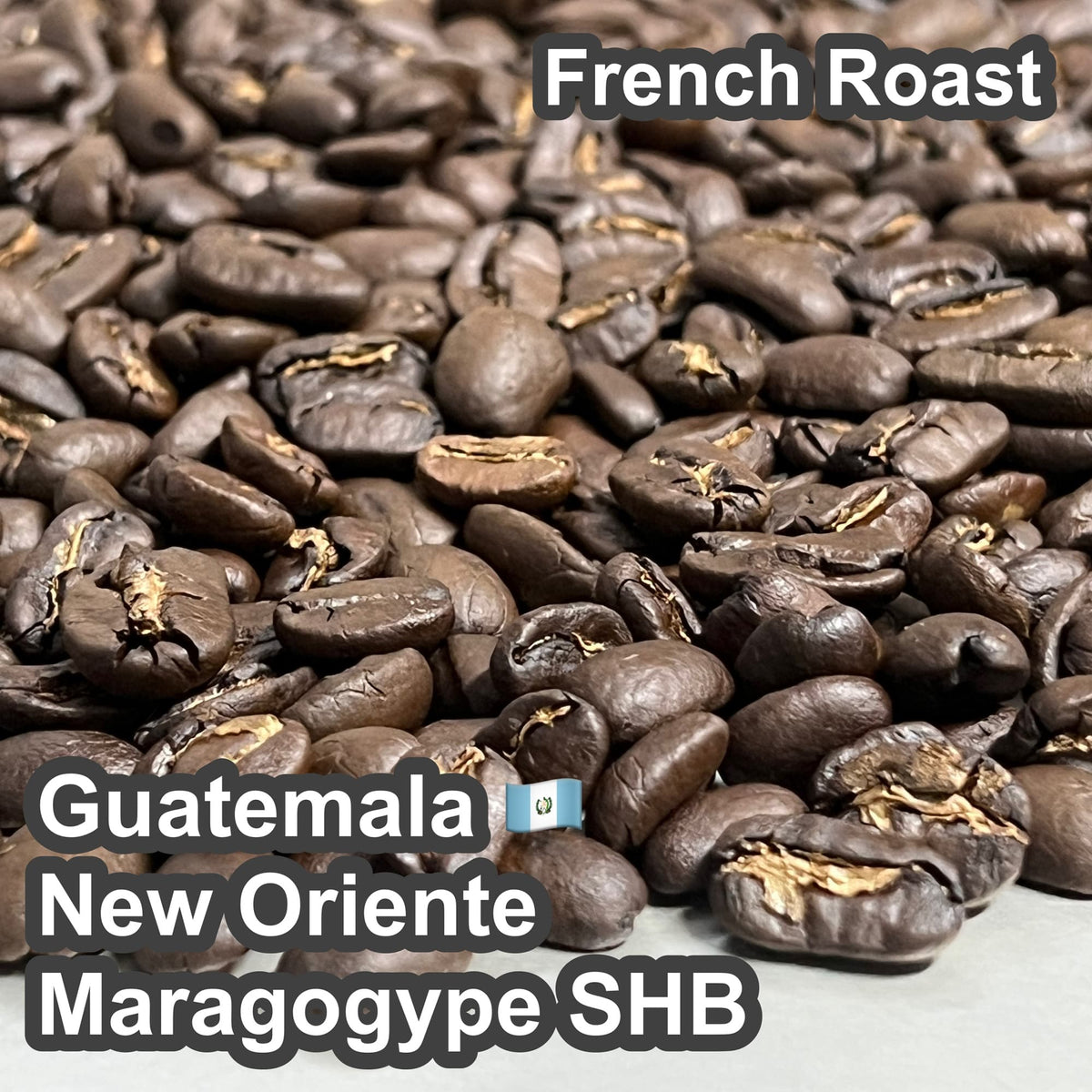 Guatemala New Oriente Maragogype SHB（ グアテマラ ニューオリエンテ マラゴジッペ SHB）100g【受注焙煎・自家焙煎コーヒー豆】【爽やかな酸味と深いコク】