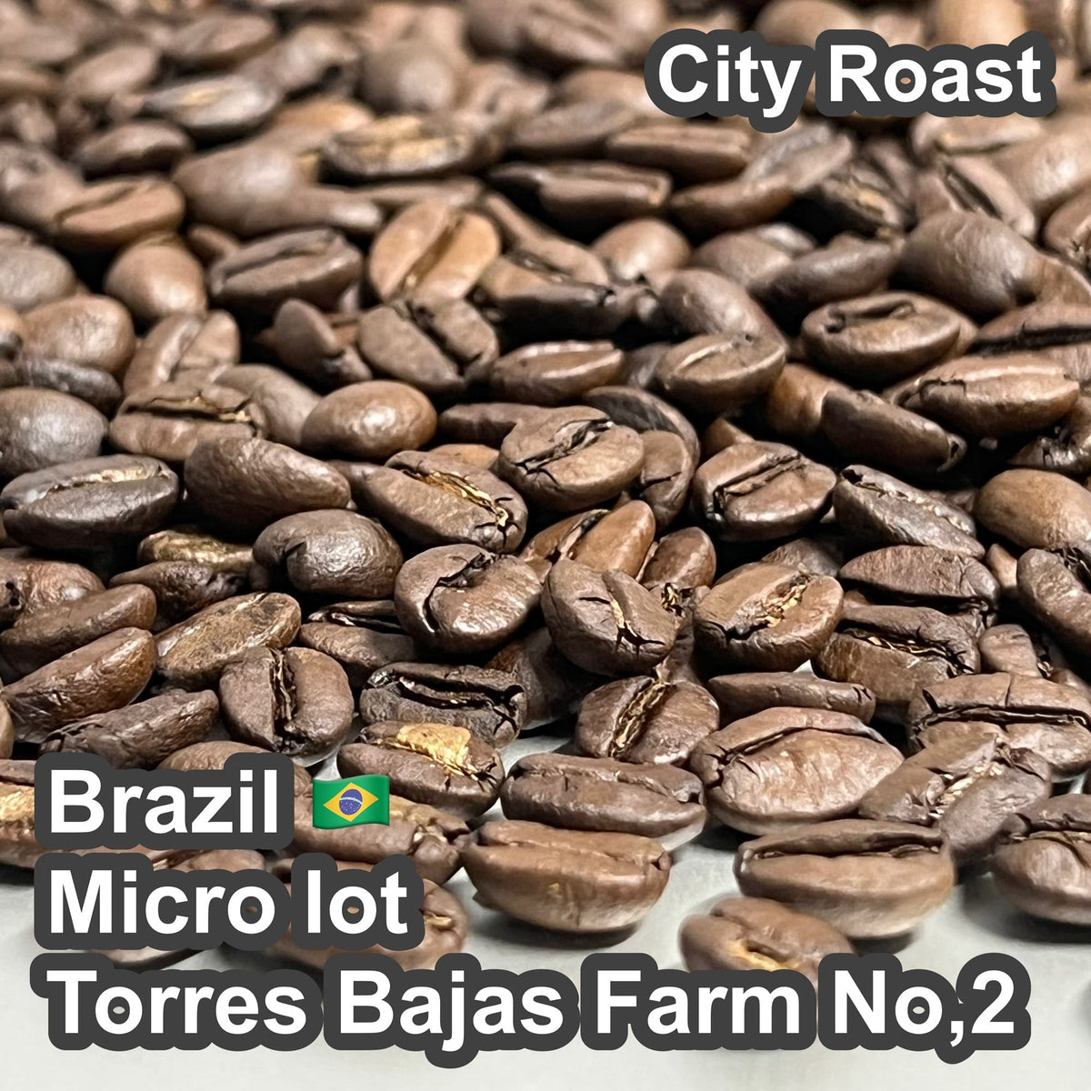 Brazil Micro lot Torres Bajas Farm No,2（ブラジル マイクロロット トレスバハス農園 No,2）100g【受注焙煎・自家焙煎コーヒー豆】【味や香りのバランスが良い・イエローブルボン】