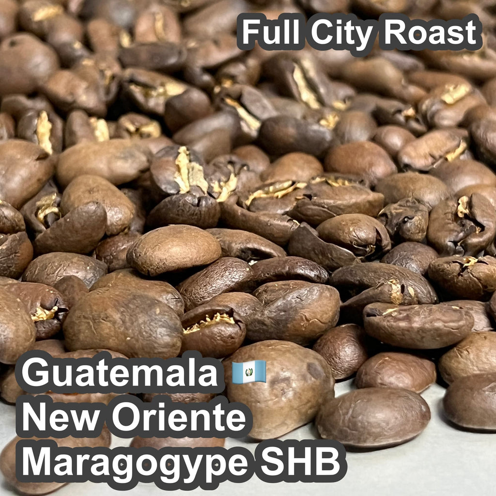 Guatemala New Oriente Maragogype SHB（ グアテマラ ニューオリエンテ マラゴジッペ SHB）100g【受注焙煎・自家焙煎コーヒー豆】【爽やかな酸味と深いコク】