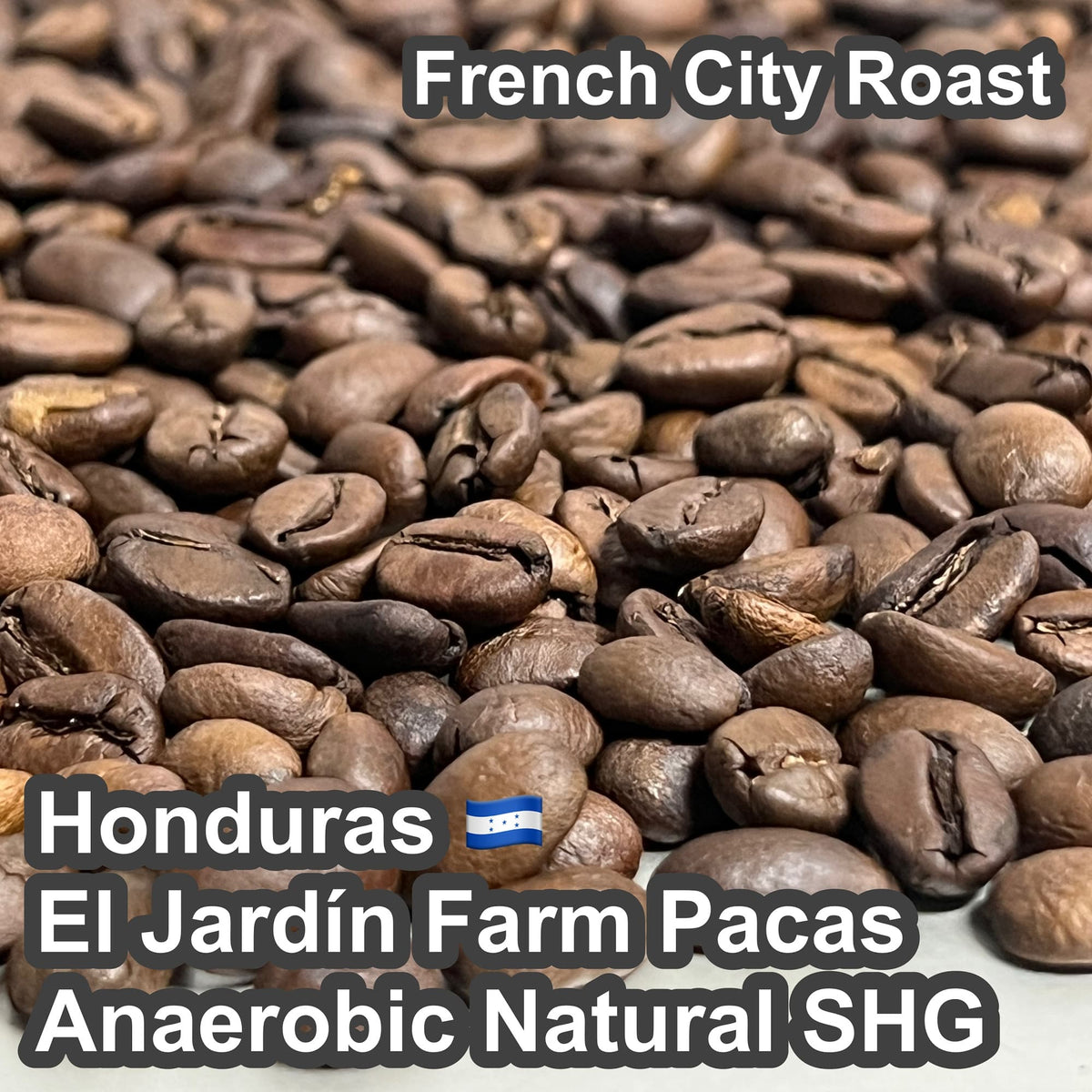Honduras El Jardín Farm Pacas Anaerobic Natural SHG（ホンジュラス エル ハルディン農園 パカス アナエロビック ナチュラル SHG）100g 【受注焙煎・自家焙煎コーヒー豆】【ベリーの酸味に程よい発酵感】