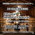 ＜定期便・送料無料＞Ethiopia Heleph G1 Natural（エチオピア へレフ G1 ナチュラル）200g 【受注焙煎・自家焙煎コーヒー豆】【フルーティーな香りと酸味】