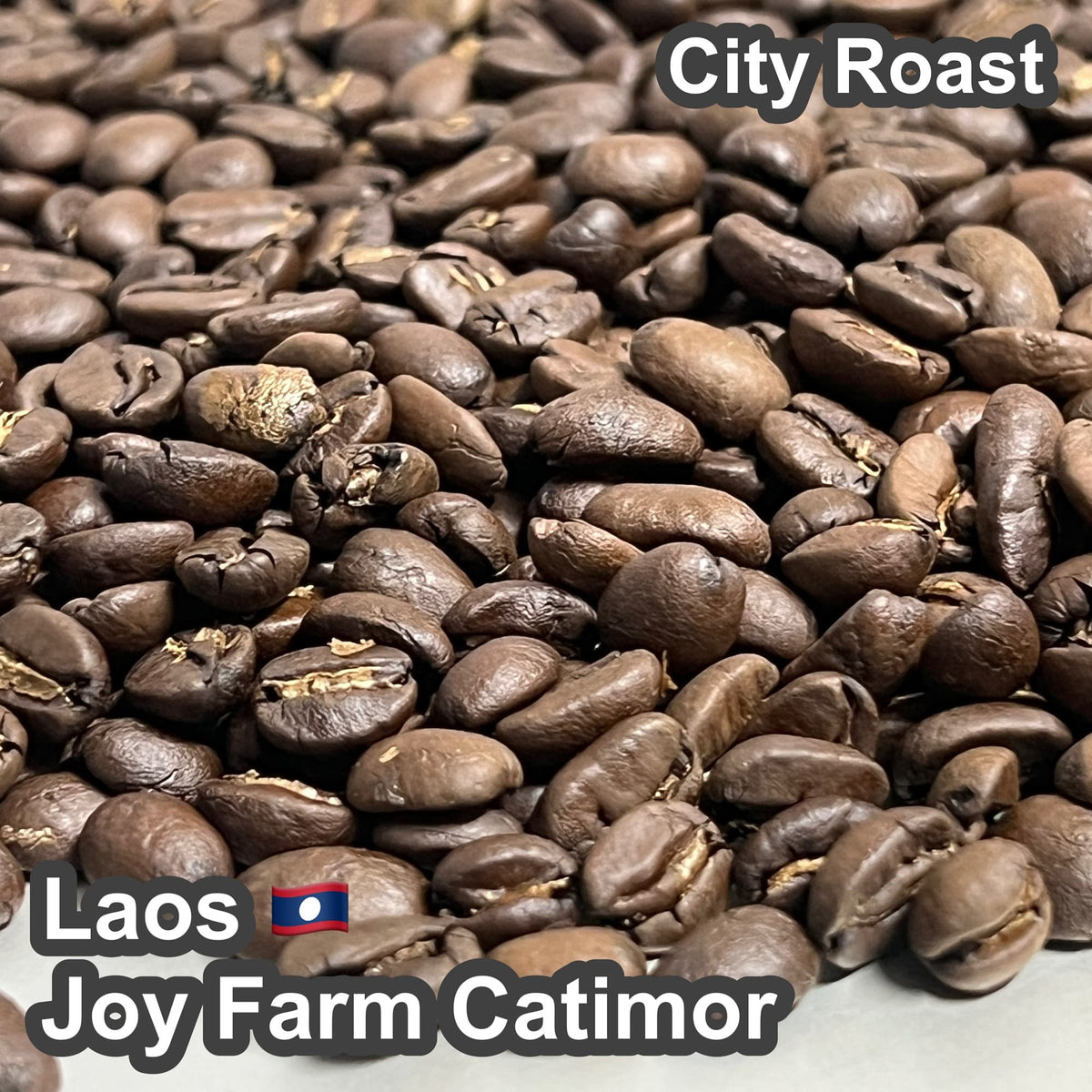 Laos Joy Farm Catimor（ラオス ジョイ農園 カティモール）100g【受注焙煎・自家焙煎コーヒー豆】【甘みと酸味のバランスが良い】