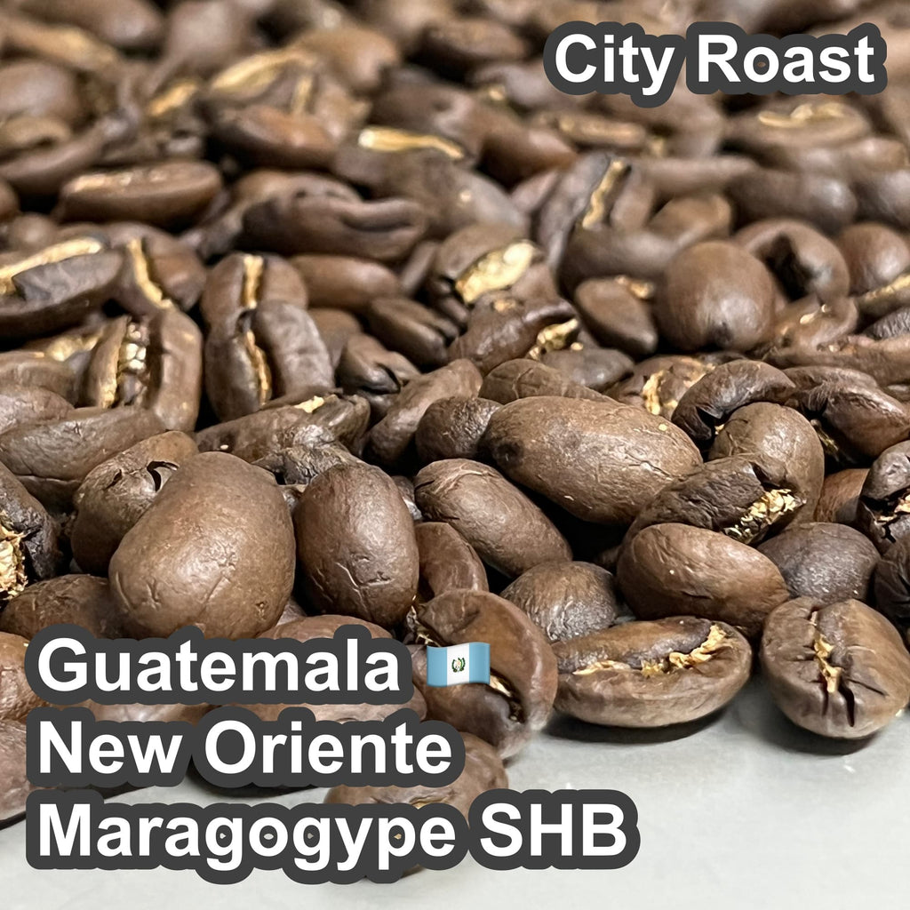 Guatemala New Oriente Maragogype SHB（ グアテマラ ニューオリエンテ マラゴジッペ SHB）100g【受注焙煎・自家焙煎コーヒー豆】【爽やかな酸味と深いコク】