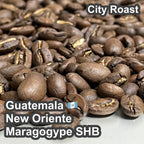Guatemala New Oriente Maragogype SHB（ グアテマラ ニューオリエンテ マラゴジッペ SHB）100g【受注焙煎・自家焙煎コーヒー豆】【爽やかな酸味と深いコク】