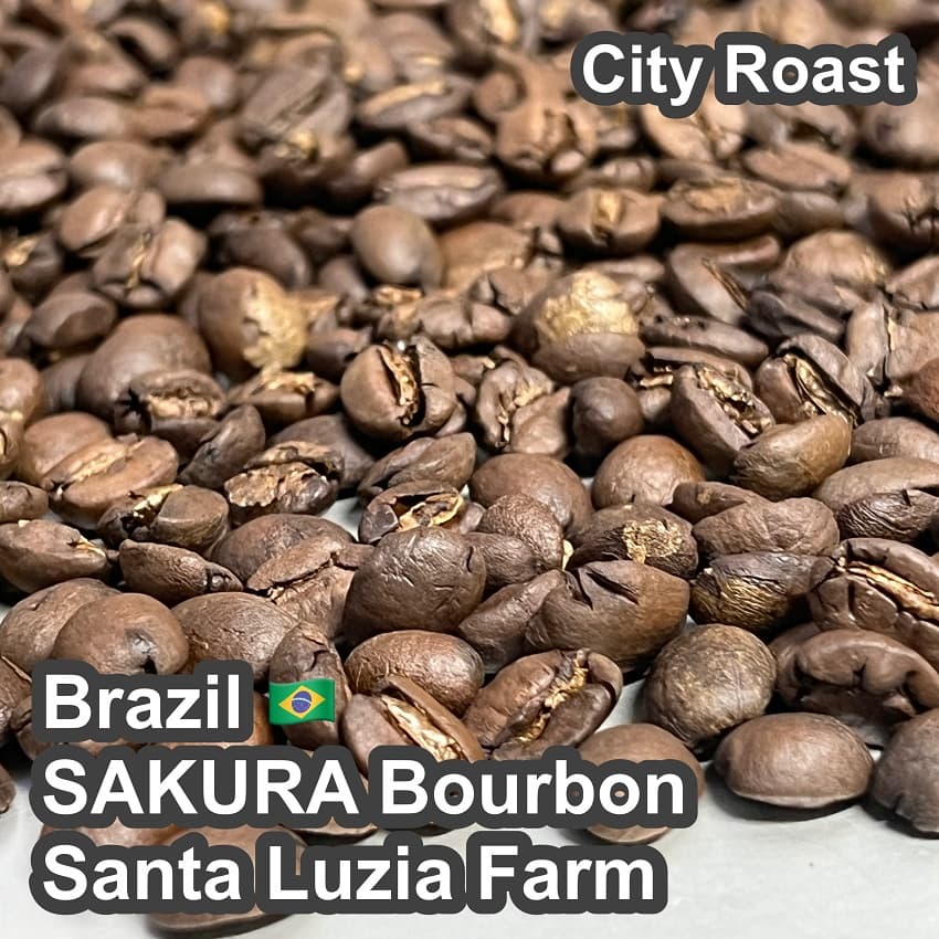 Brazil SAKURA Bourbon Santa Luzia Farm(2026年）（ブラジル さくらブルボン サンタルジア農園）100g【受注焙煎・自家焙煎コーヒー豆】【味や香りのバランスが良い】