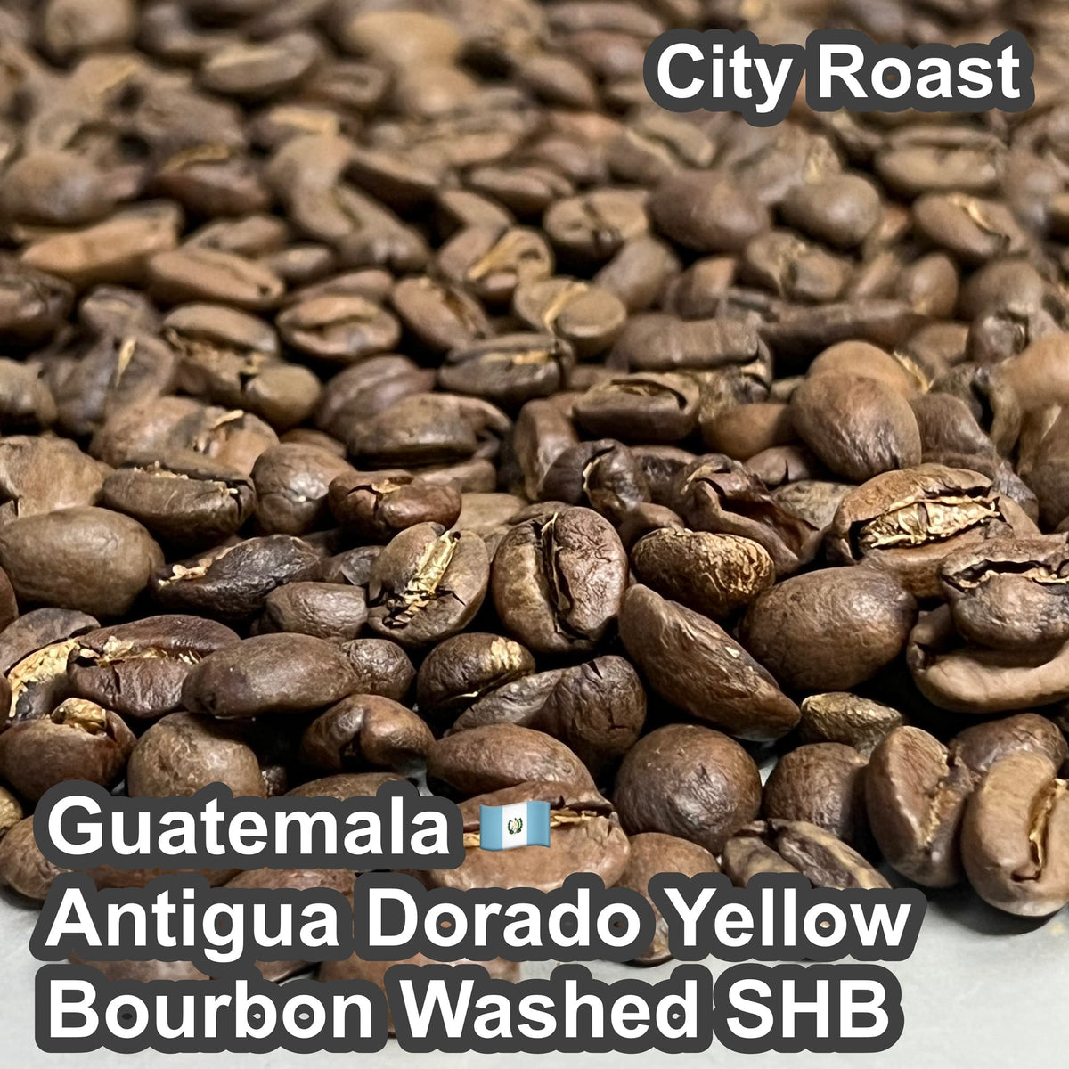 Guatemala Antigua Dorado Yellow Bourbon Washed SHB（グアテマラ アンティグア ドラド イエローブルボン ウォッシュ SHB）100g 【受注焙煎・自家焙煎コーヒー豆】【透き通るようなクリーンさと、とろける蜂蜜の甘い余韻】