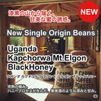 Uganda Kapchorwa Mt.Elgon BlackHoney（ ウガンダ カプチョルワ マウント エルゴン ブラックハニー ）100g 【受注焙煎・自家焙煎コーヒー豆】【ほろ苦さのキレと甘味のバランス】