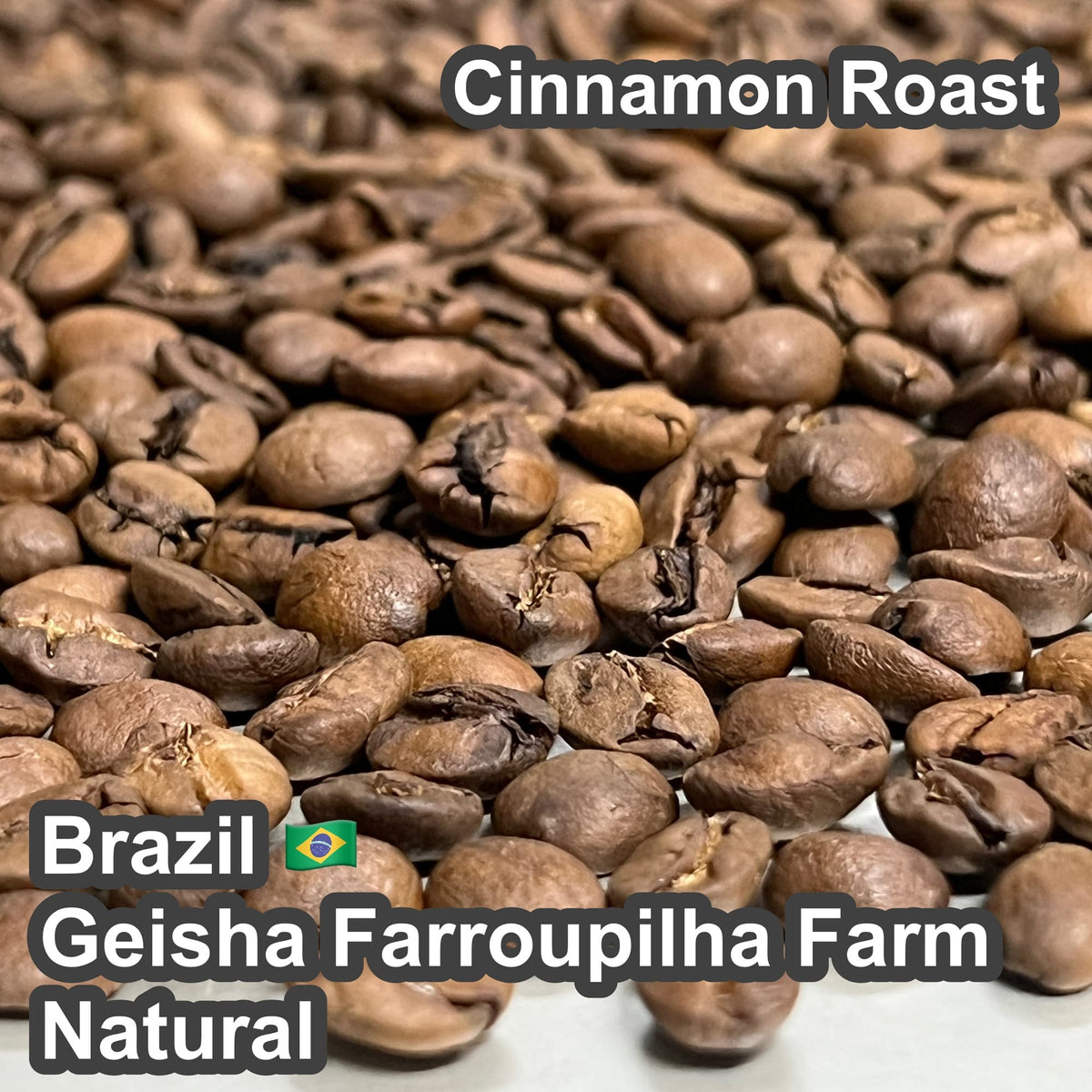 Brazil Geisha Farroupilha Farm Natural（ ブラジル ゲイシャ ファホーピリャ農園 ナチュラル ）100g【受注焙煎・自家焙煎コーヒー豆】【気品ある花香と完熟果実の濃厚な甘みが溶け合う】