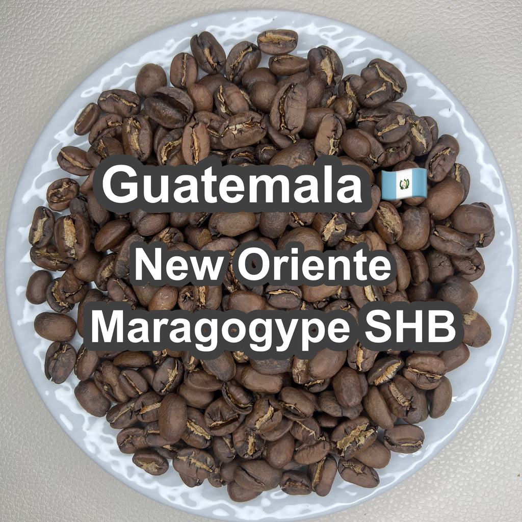 Guatemala New Oriente Maragogype SHB（ グアテマラ ニューオリエンテ マラゴジッペ SHB）100g【受注焙煎・自家焙煎コーヒー豆】【爽やかな酸味と深いコク】