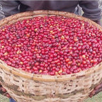 Ethiopia Harar Deder Natural G3（エチオピア ハラー デデール ナチュラル G3）100g 【受注焙煎・自家焙煎コーヒー豆】【酸味と苦み、甘味のバランス】